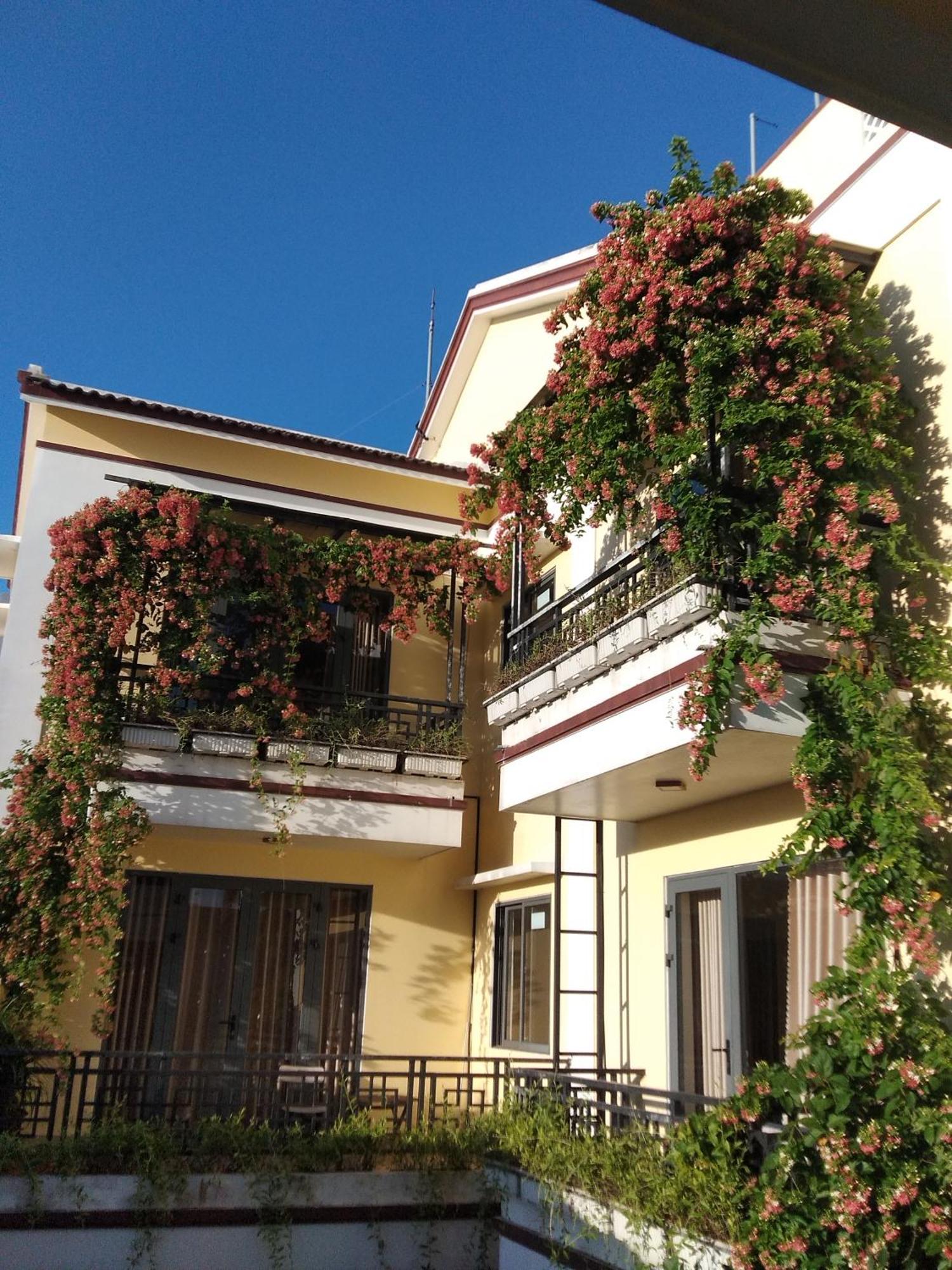 Hoi An Town Of Viet House Homestay Εξωτερικό φωτογραφία